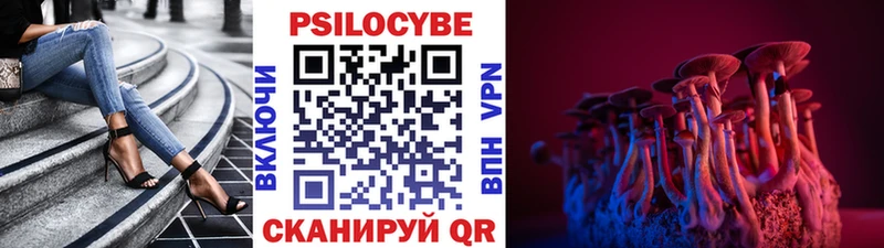 Псилоцибиновые грибы мицелий  Пушкино 